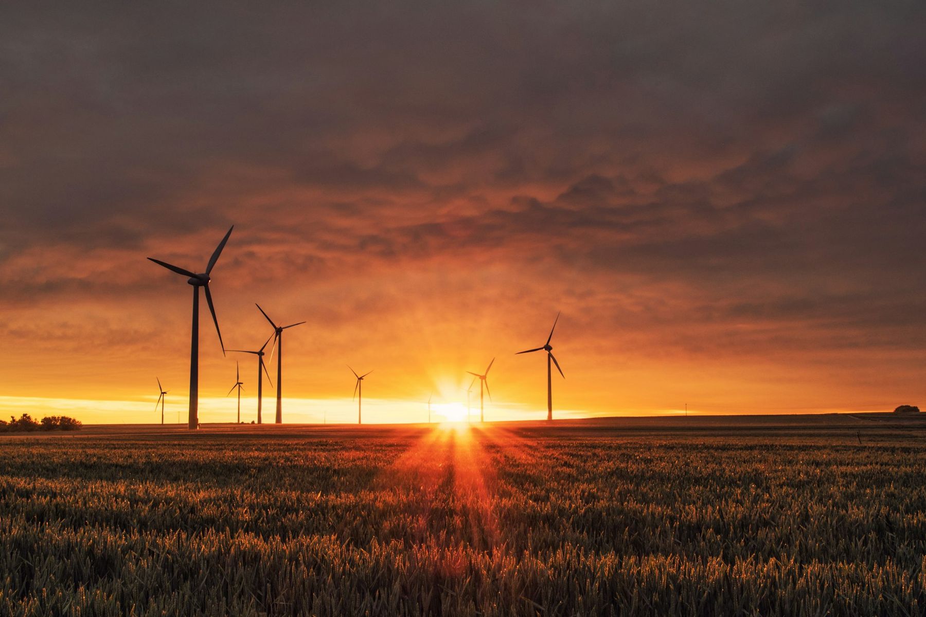 Wind turbines on open farmland at sunset